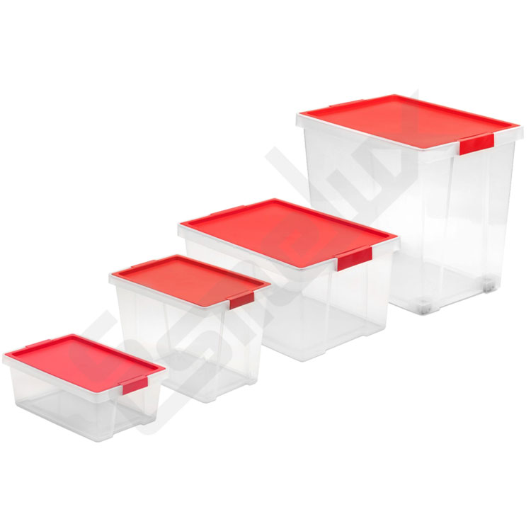 Cajas plásticas transparentes con tapa